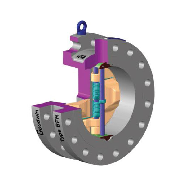Illustration of a cross-section of a valve labeled "Goodwin Type BFR," showing internal components such as a spring mechanism and valve seat, with a clear view of its structure and the connections for installation.